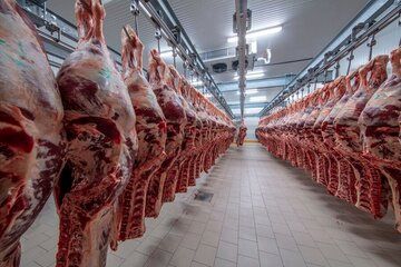 100 هزار تن گوشت قرمز کنیا در راه بازار ایران