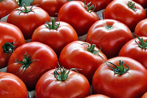 مصرف گوجه فرنگی با این 3 ماده غذایی ممنوع