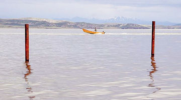 دریاچه ارومیه «نرمال» شد؟