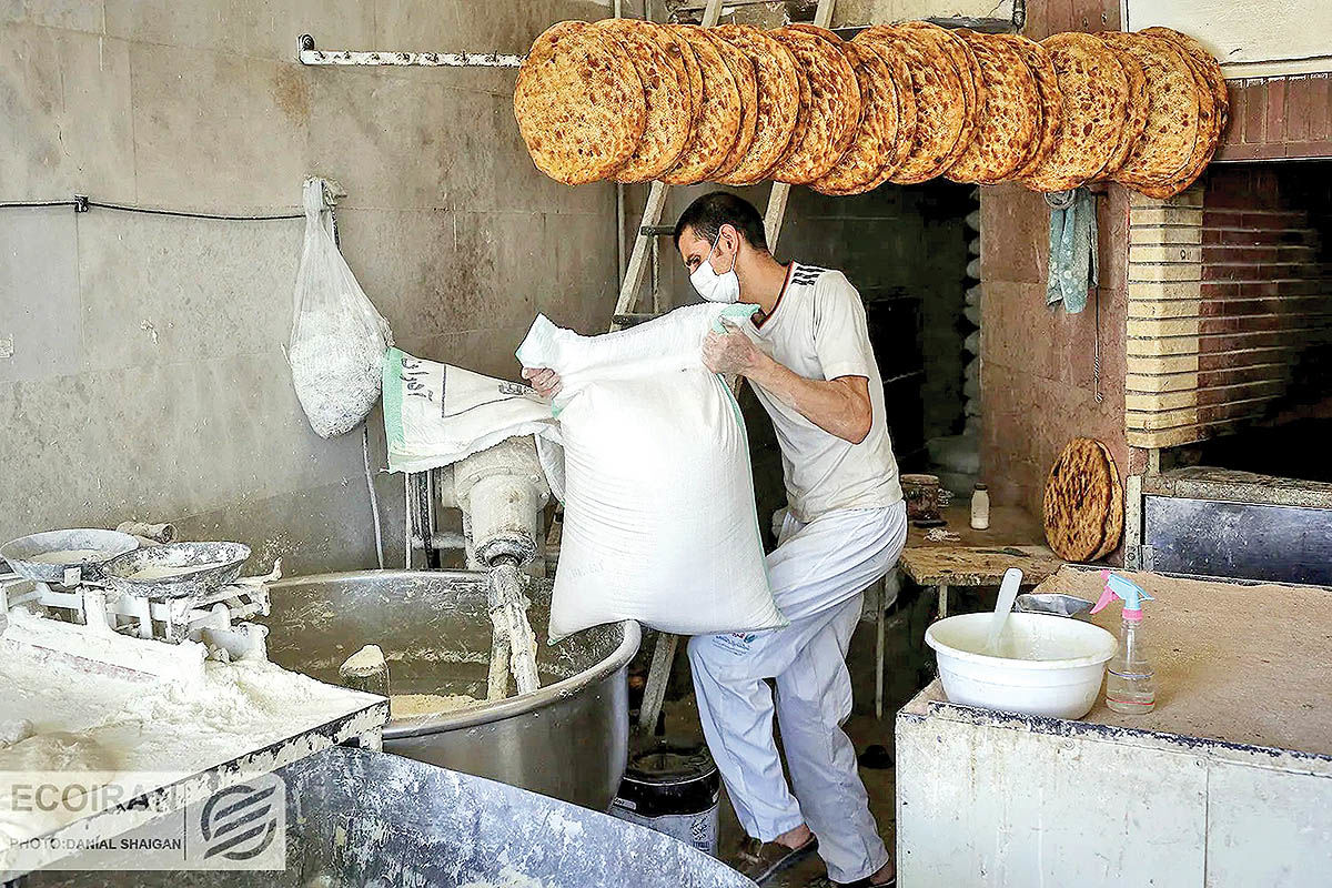 چرخه رانت در زنجیره نان