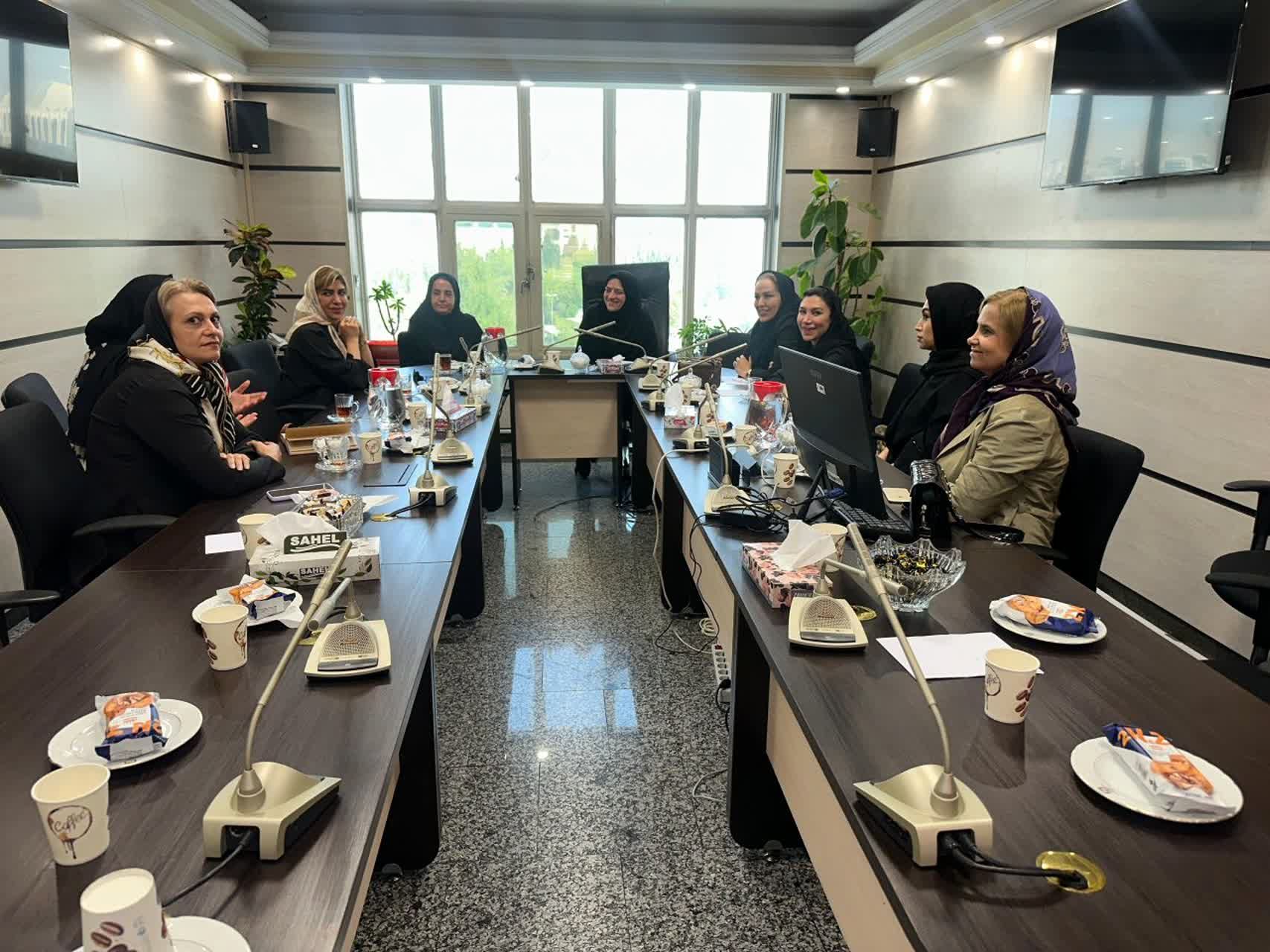 مشکلات  فرآیند ترخیص کالا و اختلالات سامانه گمرکی و 