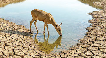 طبیعت ایران در محاصره بحران‌ها