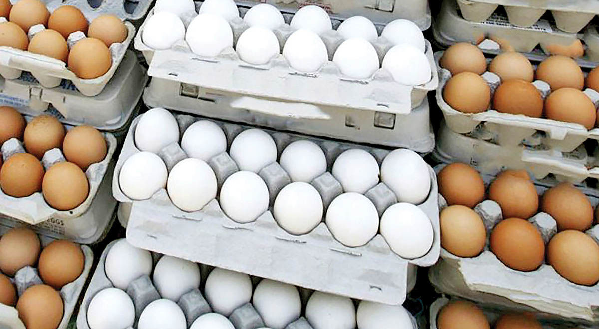 ترکش‌های حذف ارز دولتی بر بازار تخم‌مرغ