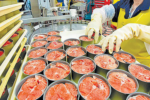 قیمت جدید کنسرو ماهی به زودی اعلام می‌شود