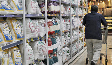 کاهش قیمت برنج / نرخ جدید اعلام شد