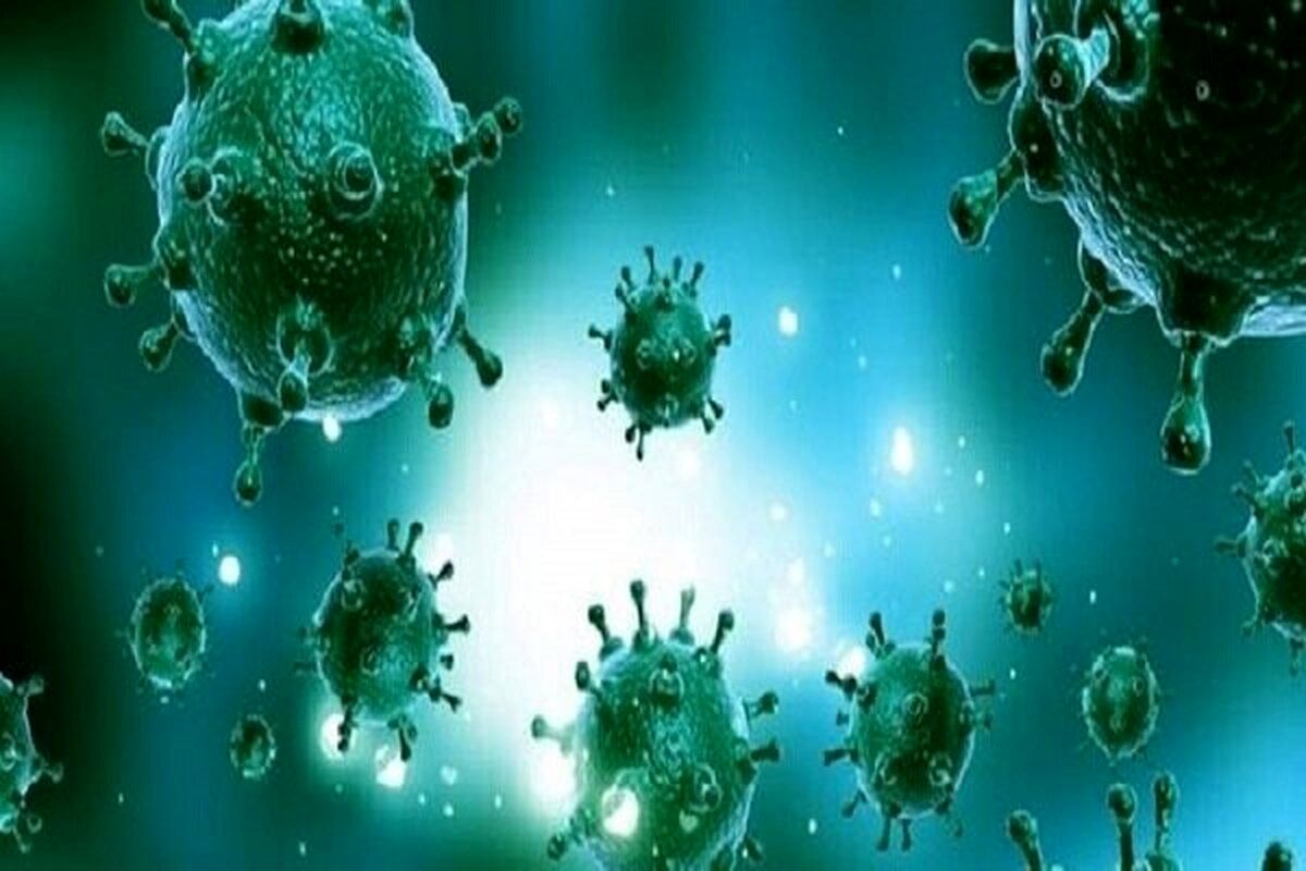 ثبت اولین مرگ ناشی از آنفلوآنزای H 3 N 2 در هرمزگان