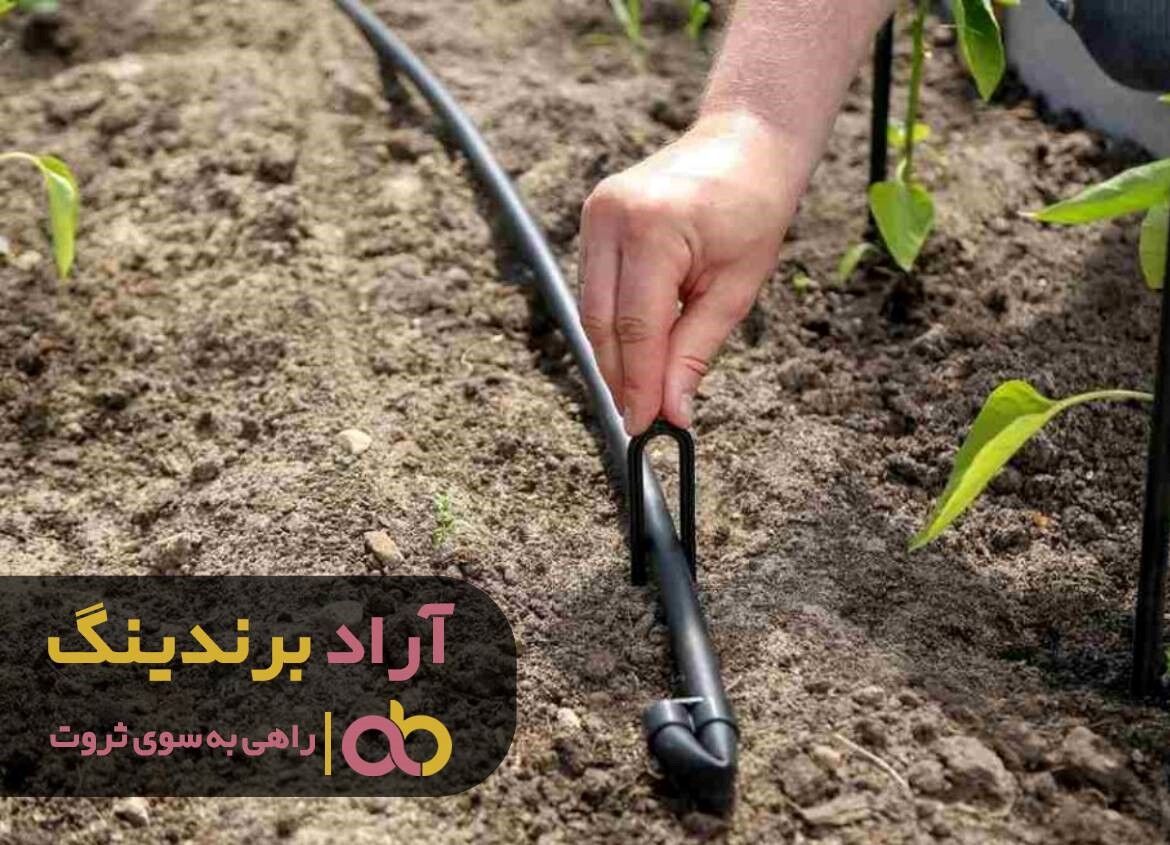 نوار تیپ آسیابی را قسطی بخرید