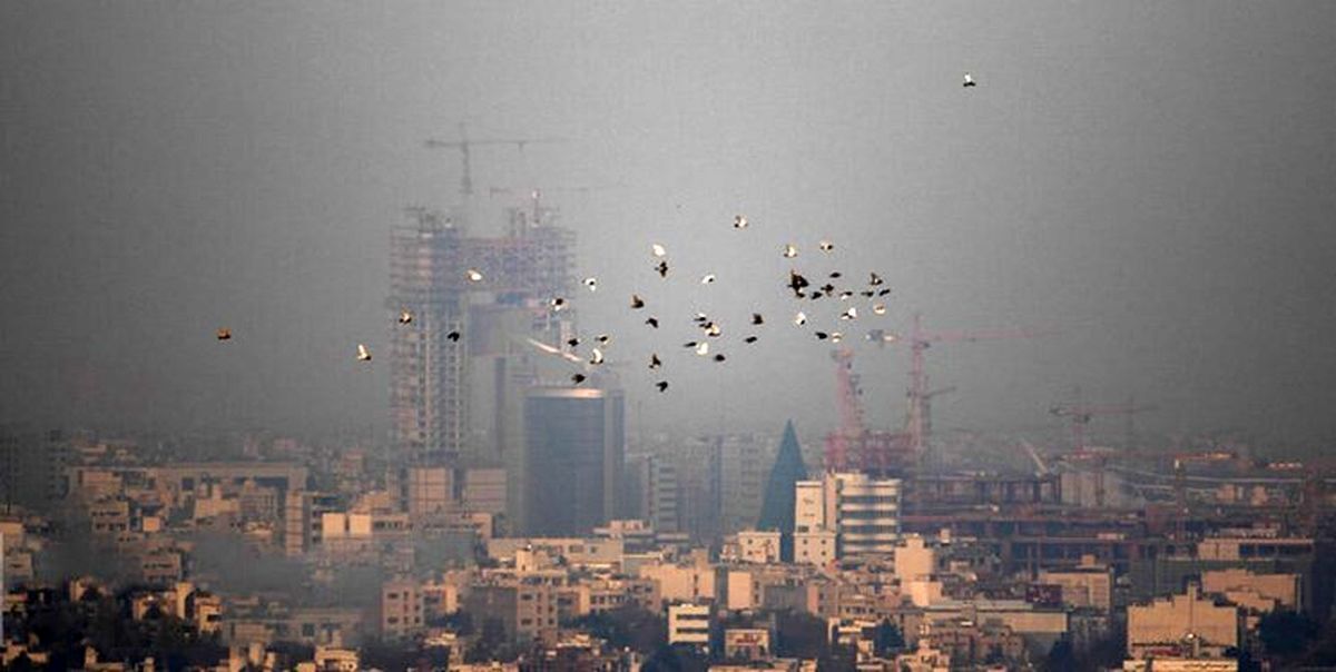مدارس این استان غیر حضوری شد