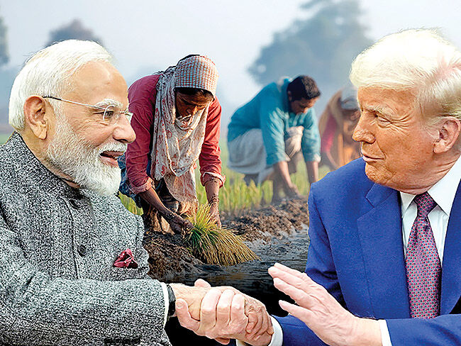 کشاورزان هند؛ برنده مذاکرات با آمریکا