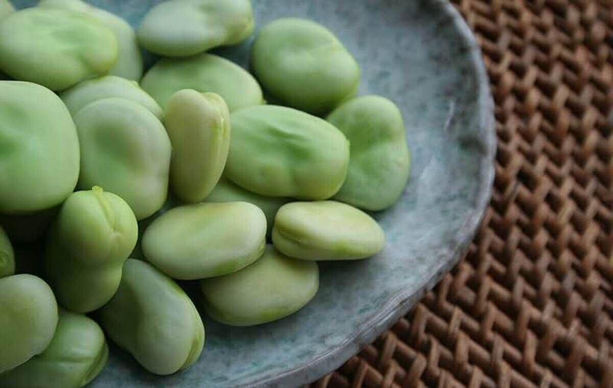 مصرف باقالا برای این افراد ممنوع 