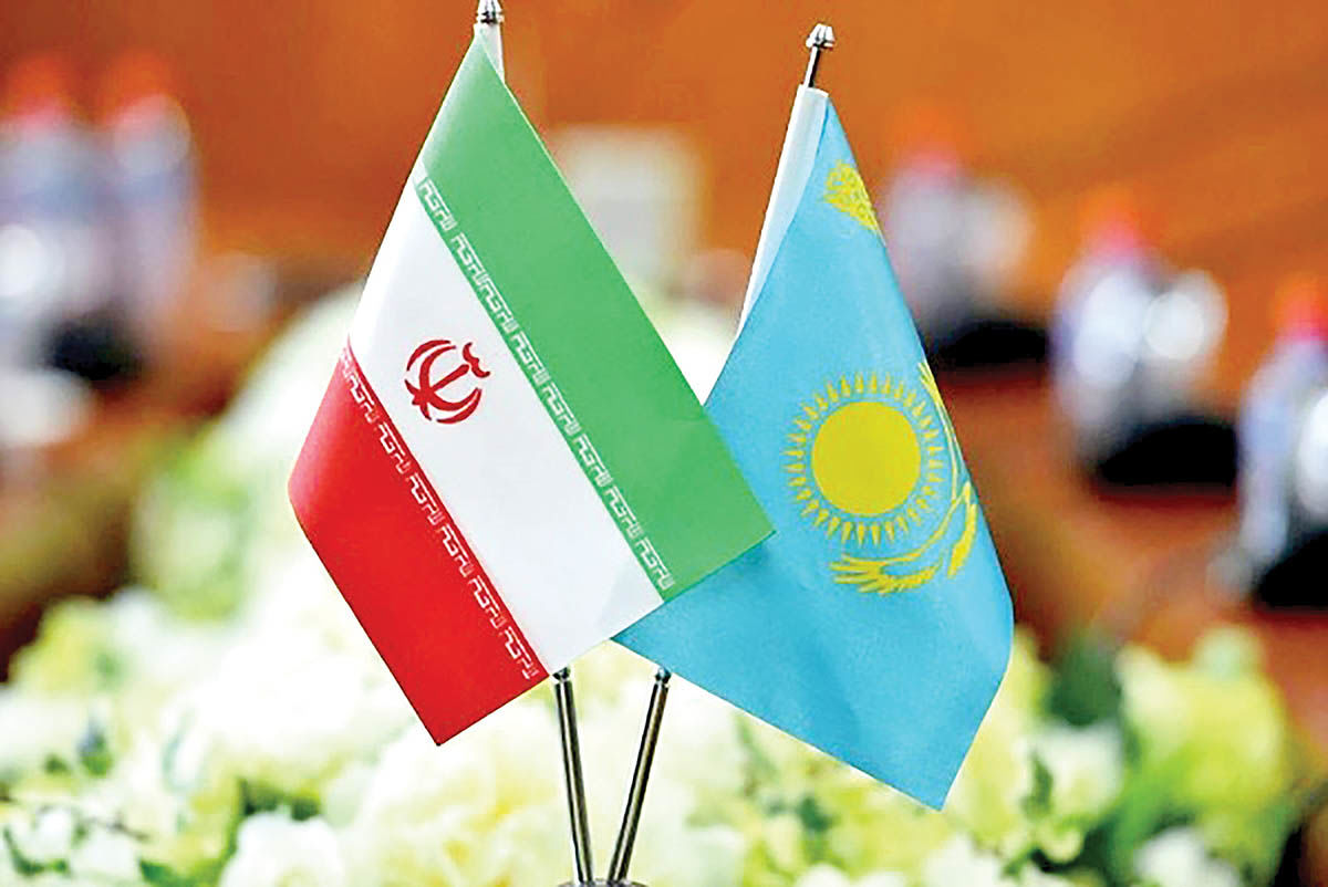 نهال تجاری ایران در کشور سپیدار
