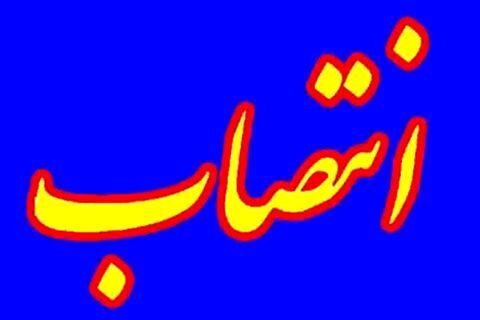 میثم شکرچیان سرپرست پترو پارس شد
