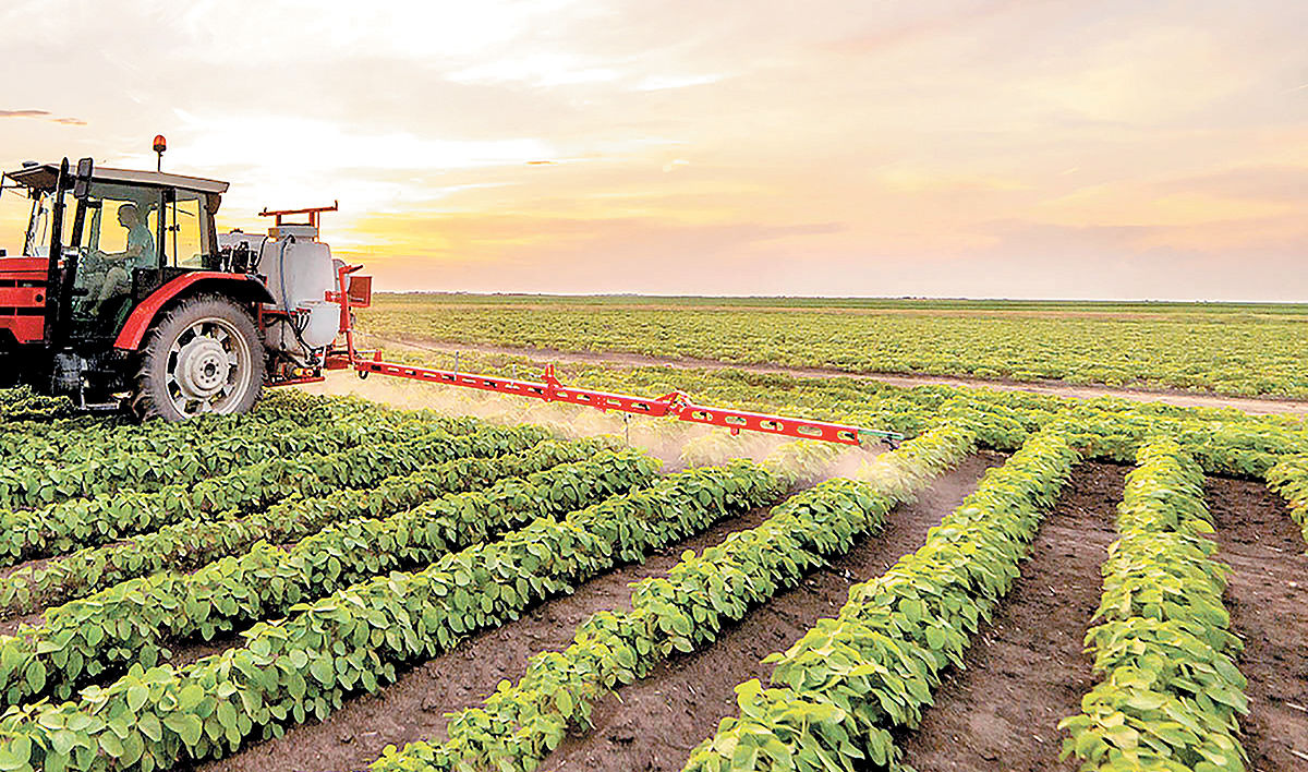 فرصت‏‏‌های توسعه صنایع تبدیلی در کشاورزی