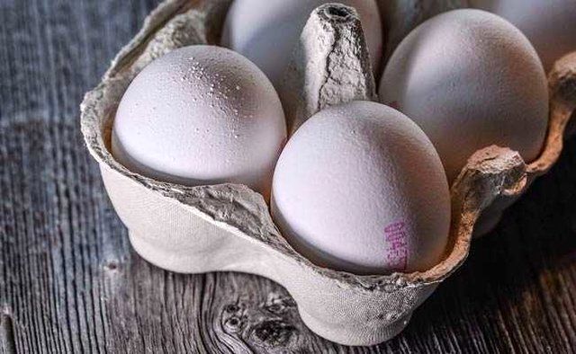 گلایه دبیر انجمن تولیدکنندگان تخم مرغ از مسوولان مربوطه