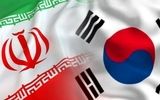 اولین واکنش ایران  به حادثه کشتی کره‌جنوبی/ عذرخواهی نمی کنیم/ به‌هیچ‌وجه در این موضوع دخالتی نکرده ایم