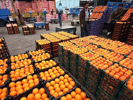 تامین میوه استان تهران برای تنظیم بازار شب عید