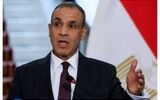 وزیر خارجه مصر: هر اقدامی که عربستان برای دفاع از خود درخواست کند، اجرا خواهیم کرد
