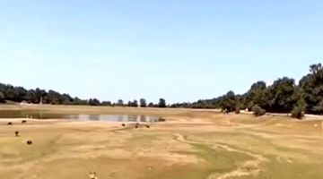 بی آبی دامن رشت را هم گرفت