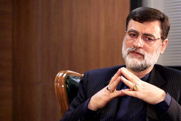 قاضی‌زاده هاشمی: دولت‌ها باید خود را از زبان منتقدین خود محک بزنند نه دوستداران