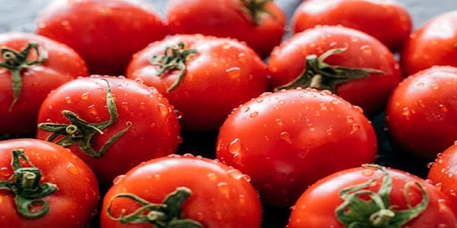 خطرات جدی مصرف بیش از حد گوجه فرنگی برای بدن