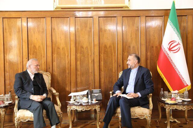 دیدار امیرعبداللهیان با منوچهر متکی