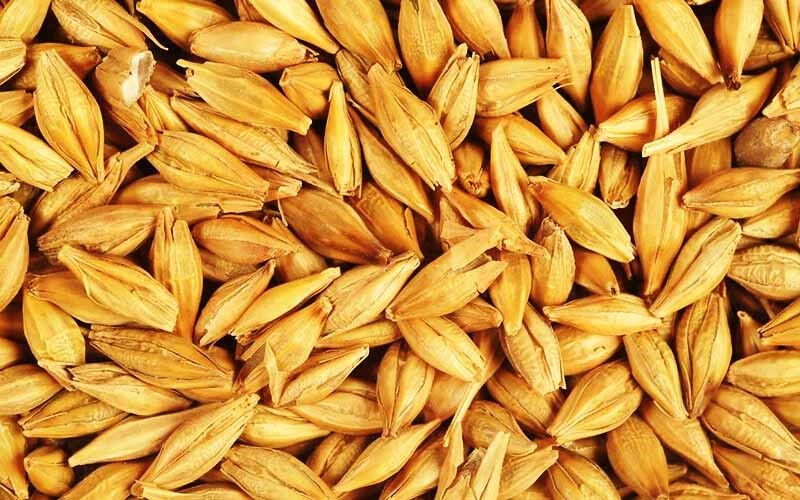 در مورد جو بیشتر بدانید