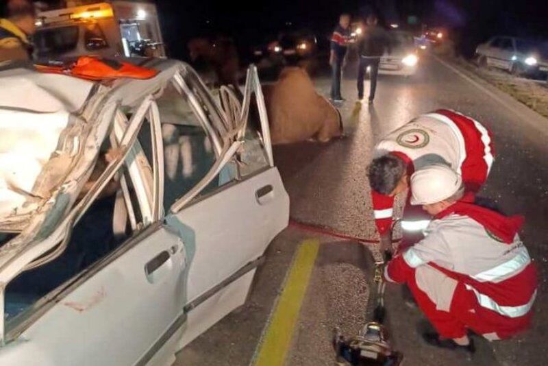 برخورد مرگبار شتر با یک خودرو / ۲ نفر فوت کردند 