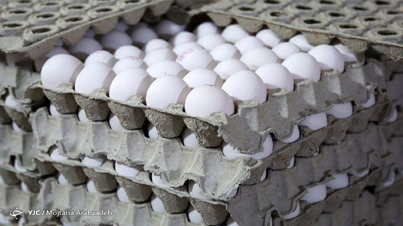 قیمت واقعی هر کیلو تخم‌مرغ چقدر است؟