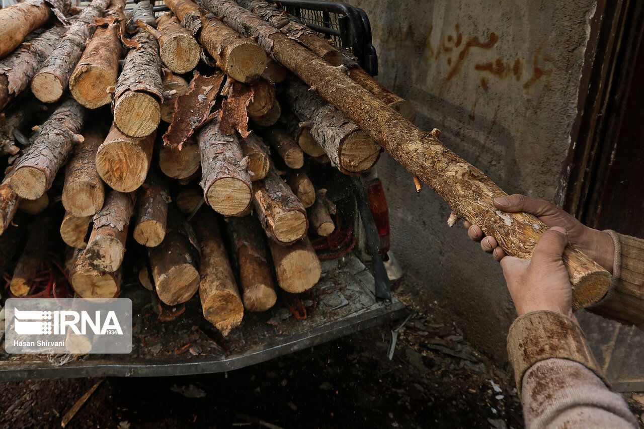 افزایش قاچاق چوب در شمال کشور/ تامین نیاز کارخانه‌ها از جنگل‌های داخلی