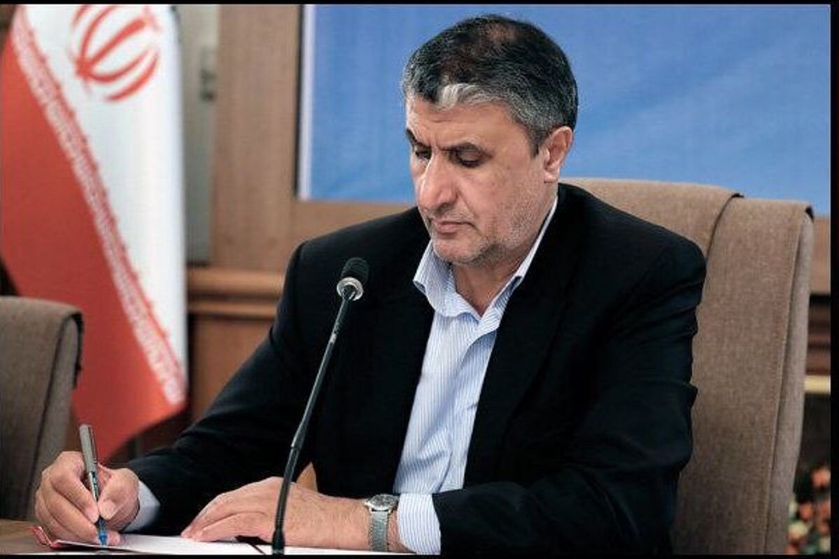 رئیس سازمان انرژی اتمی پیام داد 