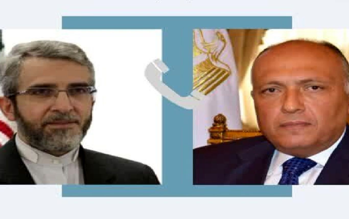 تماس تلفنی وزیر خارجه مصر و علی باقری / محور اصلی گفتگو چه بود؟