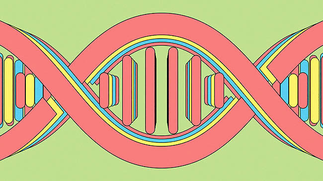 استارت‌آپی که امکان می‌دهد از DNA خود پول درآورید