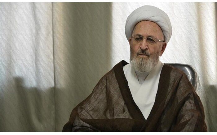 آیت الله سبحانی: عده ای از طلاب فکر انصراف از حوزه هستند