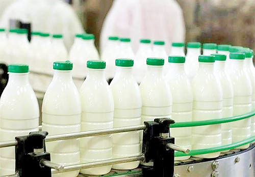 توصیه به حذف شیر از سبد غذایی مردم؟