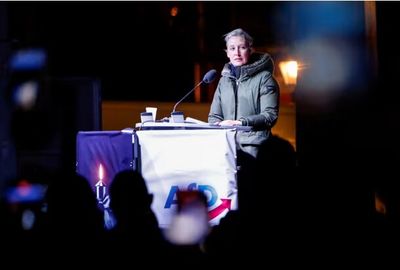 نماینده آلمانی: «فریدریش مرتس» دیوانه شده است