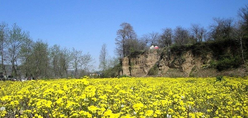 آمار سفر تابستانی در ایران